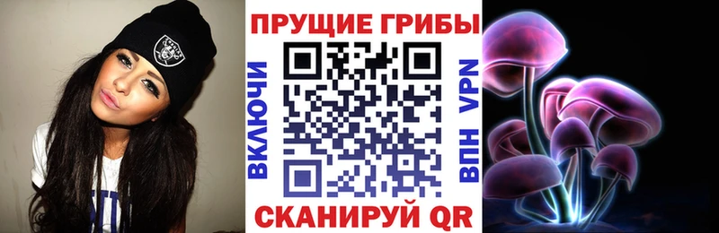 Галлюциногенные грибы Cubensis Химки